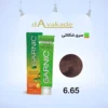 GARNIC رنگ مو زنانه شماره 6.65